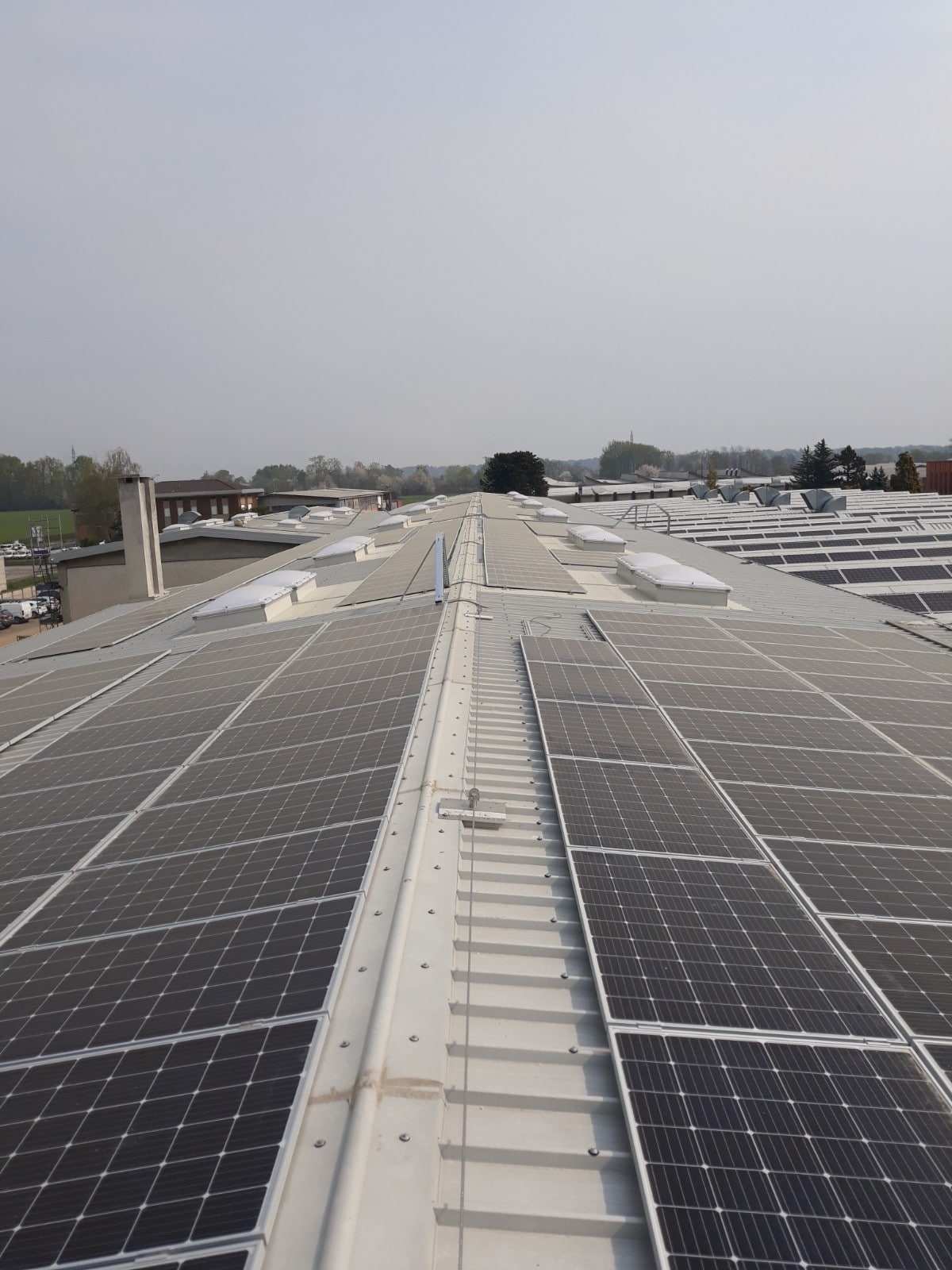 Loro Piana Linea vita